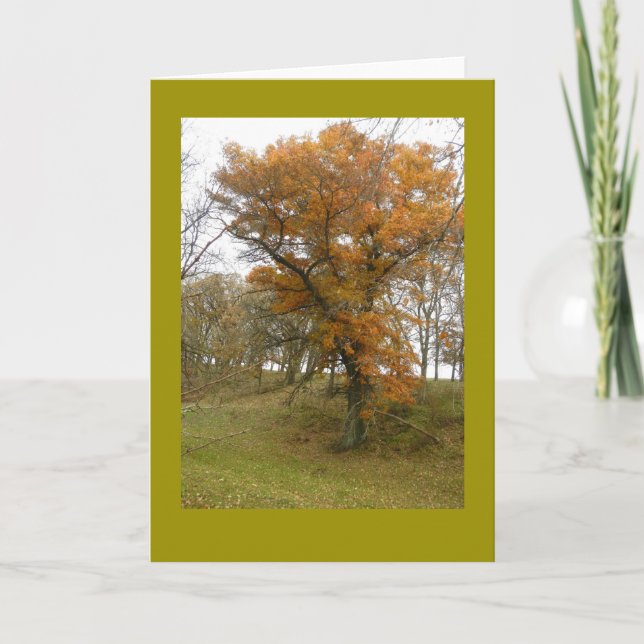 Roadside Oak Tree in Autumn on Blank Note Card (Front)