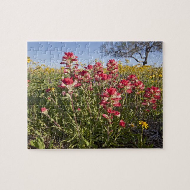 Roadside wildflowers in Texas, spring Jigsaw Puzzle (Horizontal)