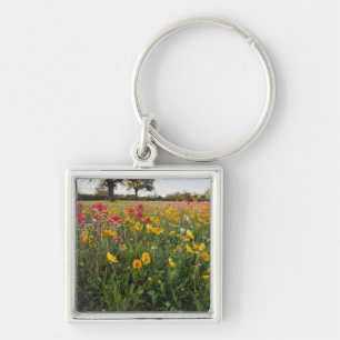 Roadside wildflowers in Texas, spring Key Ring