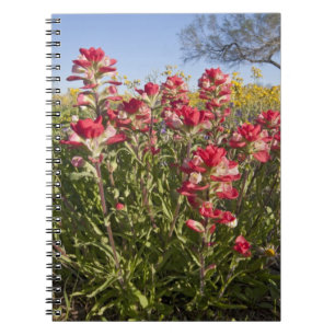 Roadside wildflowers in Texas, spring Spiral Notebook