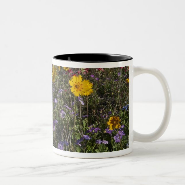 Roadside wildflowers in Texas, spring Two-Tone Coffee Mug (Right)