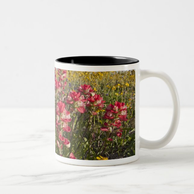 Roadside wildflowers in Texas, spring Two-Tone Coffee Mug (Right)