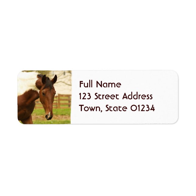 Roaming Paint Horse Mailing Labels (Front)
