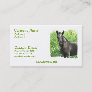 Roan Colt Business Card