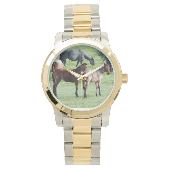 Roan Foals Watch (Front)