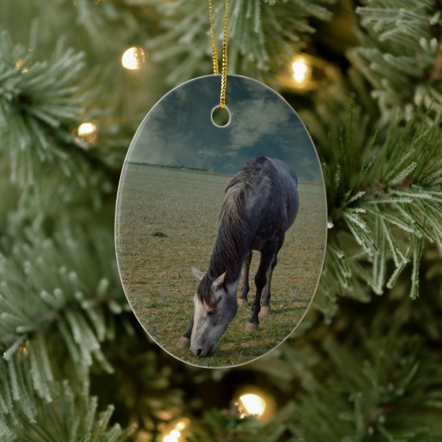 Roan Horse Grazing In Paddock Ceramic Tree Decoration (Tree)