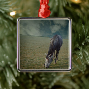 Roan Horse Grazing In Paddock Metal Tree Decoration