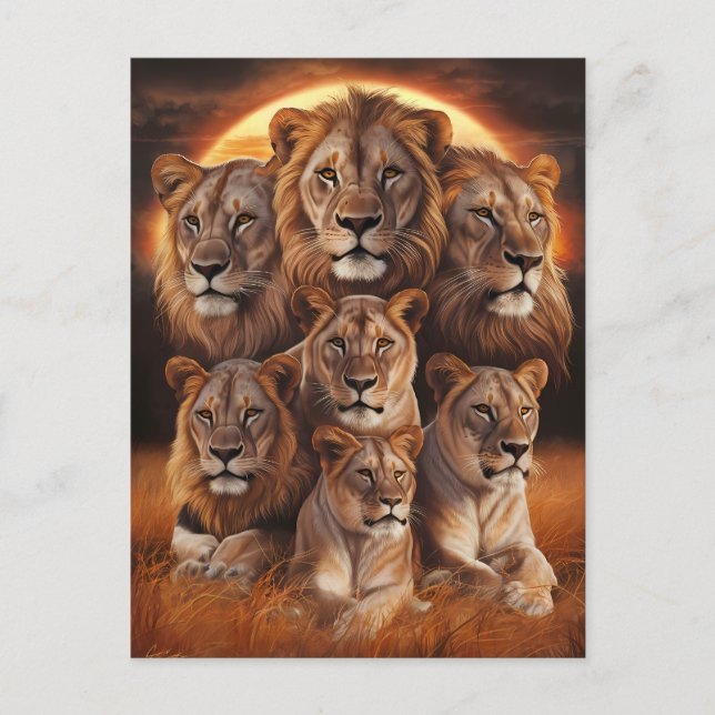Roar of the Night: Lions in Moonlight Postcard (Front)