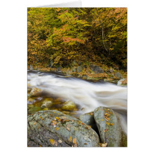 Roaring Brook in fall in Vermont's Green