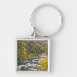Roaring Brook in fall in Vermont's Green 2 Key Ring