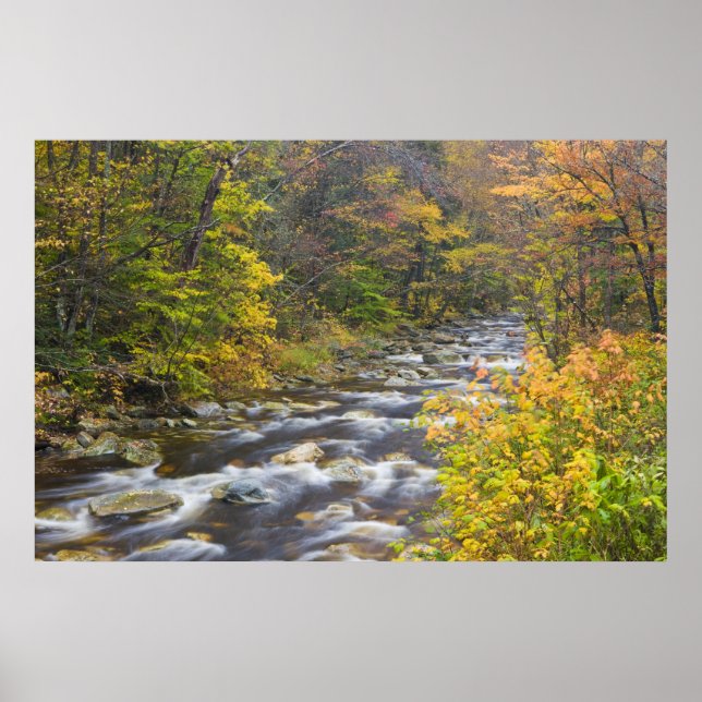 Roaring Brook in fall in Vermont's Green 2 Poster (Front)