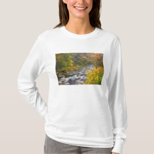 Roaring Brook in fall in Vermont's Green 2 T-Shirt