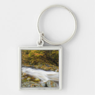 Roaring Brook in fall in Vermont's Green Key Ring