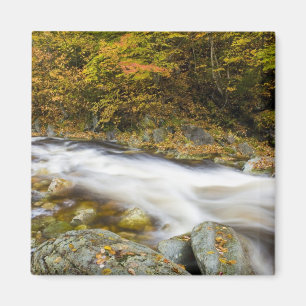 Roaring Brook in fall in Vermont's Green Magnet