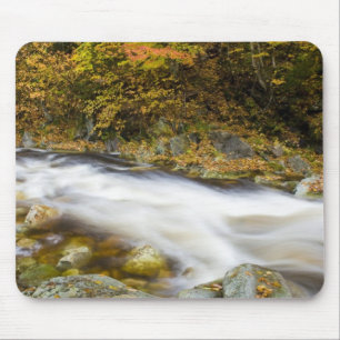 Roaring Brook in fall in Vermont's Green Mouse Pad