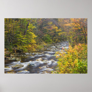 Roaring Brook in fall in Vermont's Green Poster