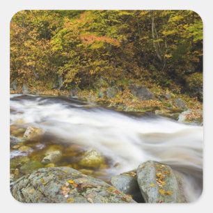 Roaring Brook in fall in Vermont's Green Square Sticker