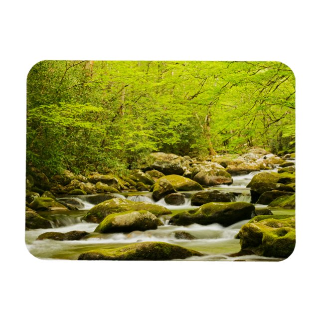 Roaring Fork in Spring Magnet (Horizontal)