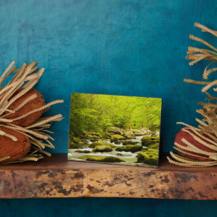 Roaring Fork in Spring Plaque