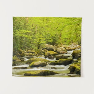 Roaring Fork in Spring Tapestry