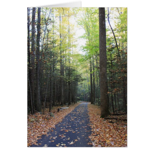 Roaring Fork in the Fall (Front)