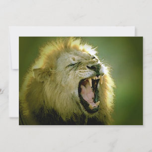 Roaring Lion Invitation