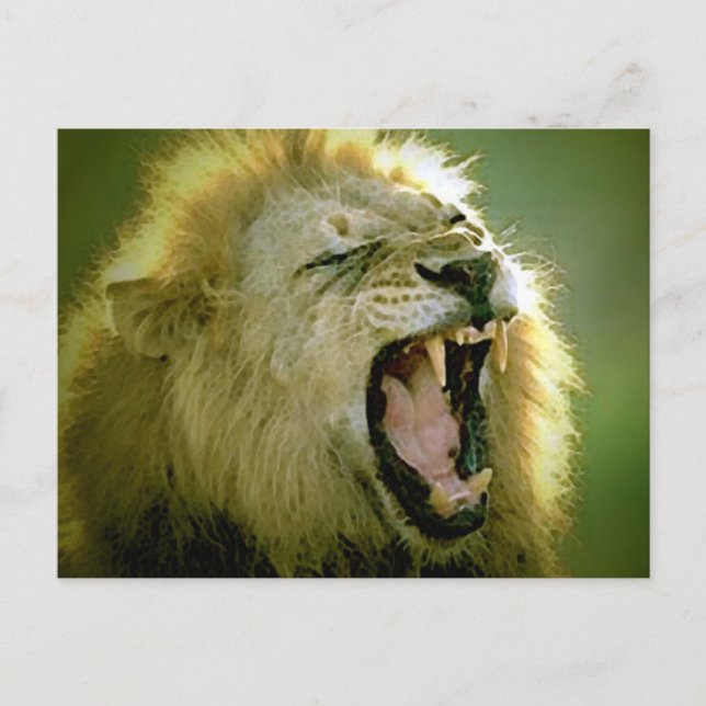 Roaring Lion Postcard (Front)