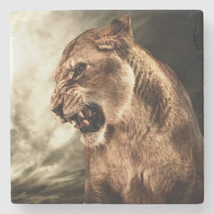 Roaring lioness against stormy sky stone coaster