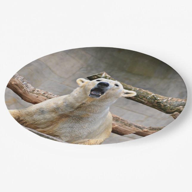 Roaring Polar Bear Scene Paper Plate (Angled)