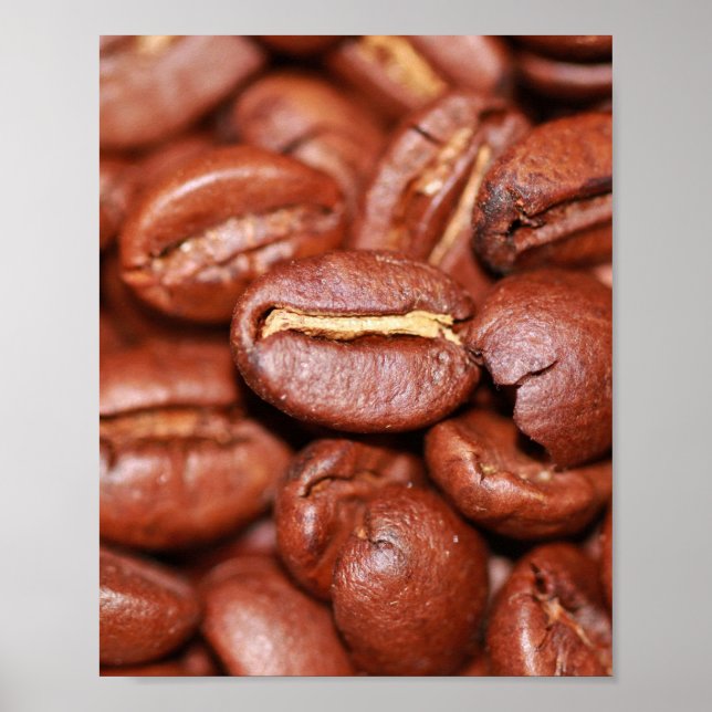 Roasted Coffee Beans Poster (Front)