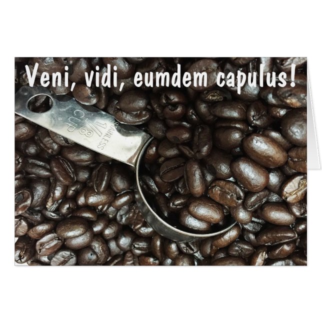 Roasted Coffee Beans With Silver Scoop Photograph (Front Horizontal)