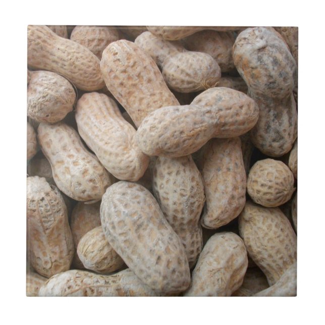Roasted Salted Peanuts in the Shell Tile (Front)