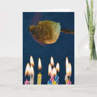 roasting marshmallow over birthday candles