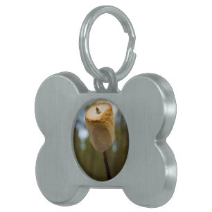 Roasting Marshmallows Pet ID Tag