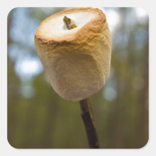 Roasting Marshmallows Square Sticker