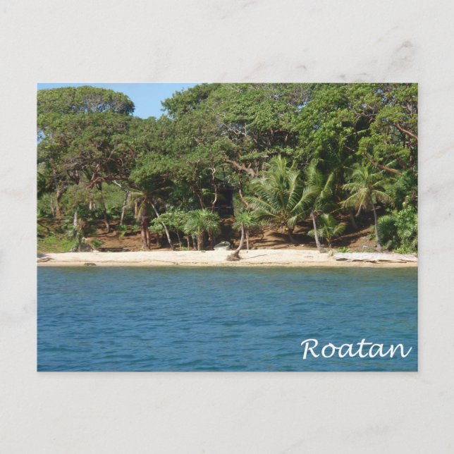 Roatan, Honduras Postcard (Front)