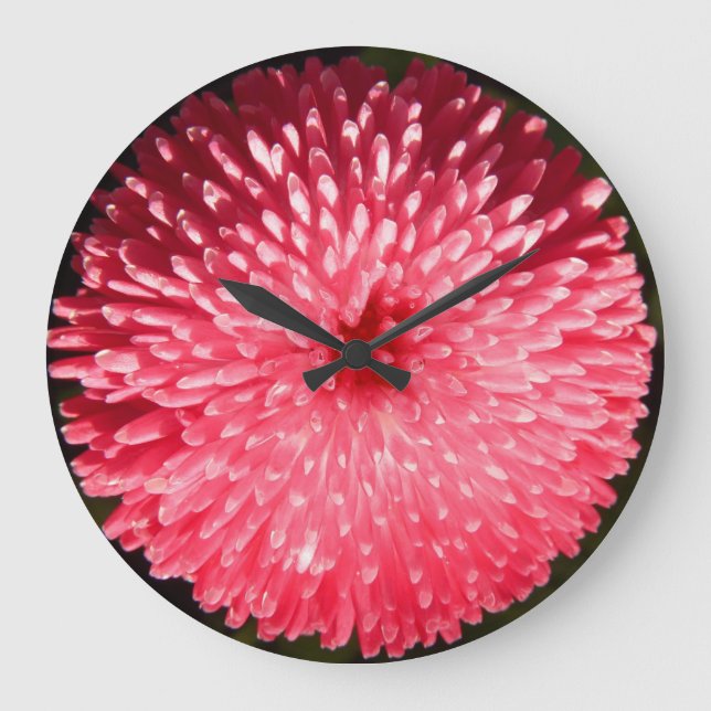 Rob Roy 1 Wall Clocks & Numeral Options (Front)