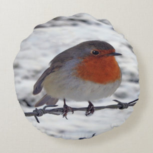 Robbin Redbreast Cushion Round