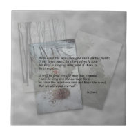 Robert Frost poetry