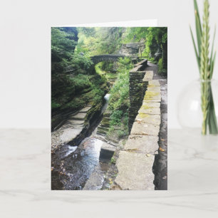 robert h. treman state park bridge holiday card