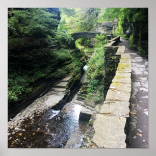 robert h. treman state park bridge poster