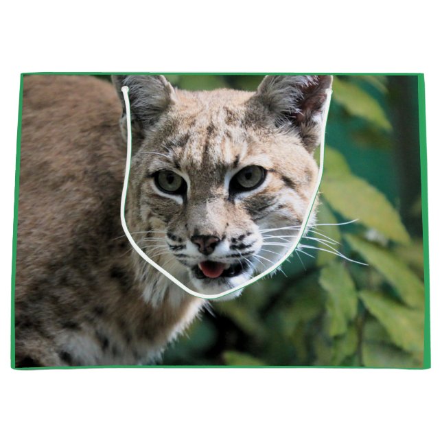 Robert J.Bobcat  Large Gift Bag (Front)