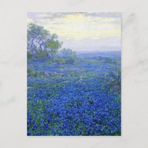 Robert Julian Onderdonk a-cloudy-day-bluebonnets Postcard