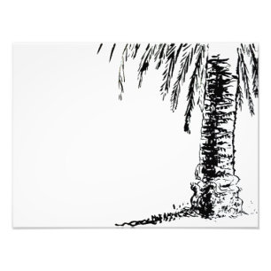 Roberts Tree Photo Print