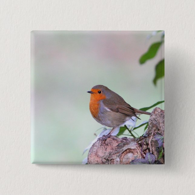 Robin 15 Cm Square Badge (Front)