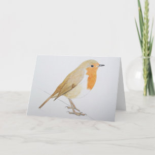 Robin 2011 holiday card