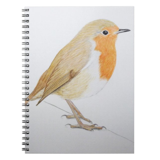 Robin 2011 notebook (Front)