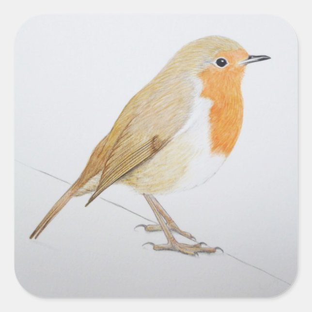 Robin 2011 square sticker (Front)