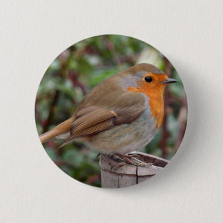 Robin 6 Cm Round Badge