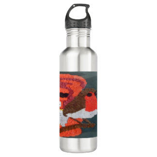 Robin 710 Ml Water Bottle